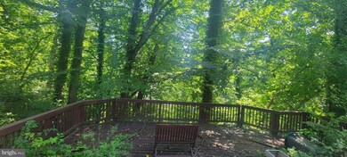 6015 Benalder Dr, Bethesda, MD 20816 - photo 2