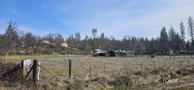 7821,41,51 California 3, Hayfork, CA 96041 - photo 5
