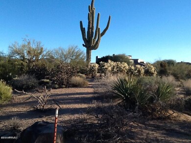 9820 E Miramonte Dr unit 273, Scottsdale, AZ 85262 - photo 4