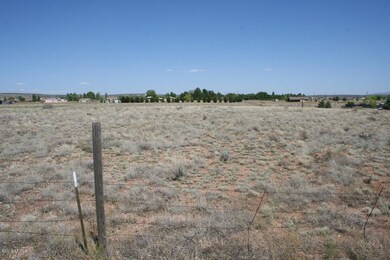 25355 N Patricia Rd unit none, Paulden, AZ 86334 - photo 4