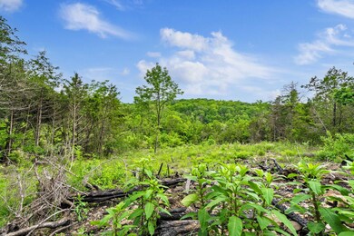 TABLE ROCK LAKEFRONT VIEW BUILD SITE