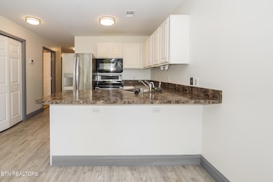 2201 Franklin Station Way unit 301, Knoxville, TN 37916 - photo 5