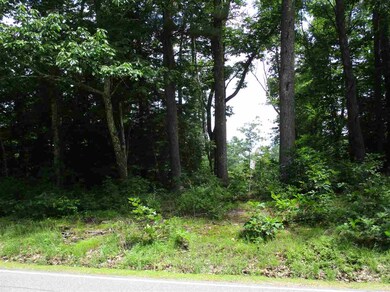 1 Mountain Rd, Nottingham, NH 03290 - photo 2