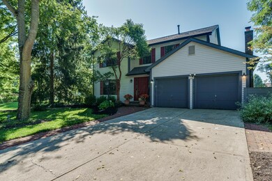 3481 Mountshannon_MLS_03
