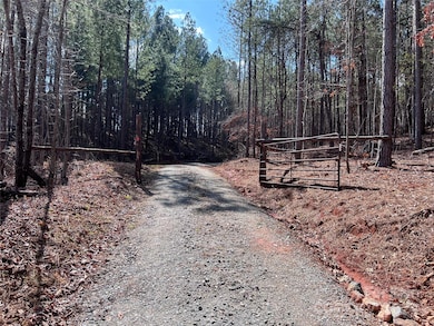 Tract 1 Holbert Cove Rd, Mill Spring, NC 28756 - photo 3