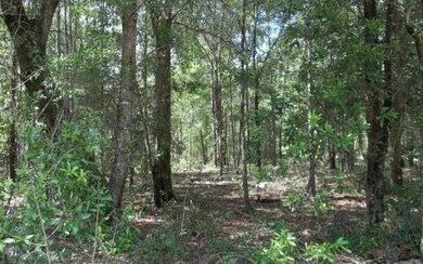 3964 276 Th Terrace, Branford, FL 32008 - photo 3