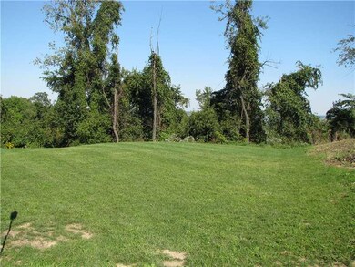 Yard/Garden.