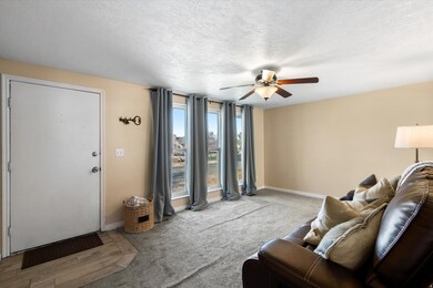 Living area featuring a textured ceiling, a ceiling fan, and carpet flooring