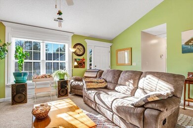 117 Maggie Way, Myrtle Beach, SC 29588 - photo 3