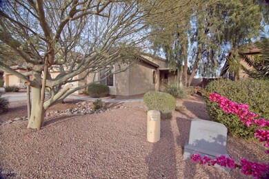 Front Yard