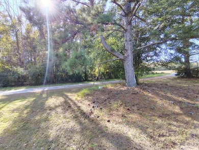 112 Tropicana Ct, Orangeburg, SC 29118 - photo 2