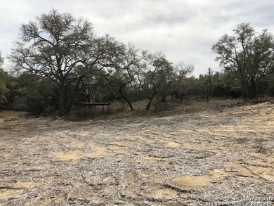 10108 Nina Ridge, San Antonio, TX 78255 - photo 3