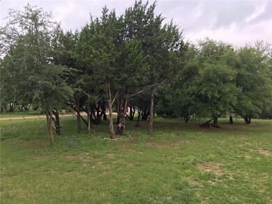 24009 Oak Shadow, Whitney, TX 76692 - photo 3