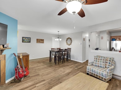 175 Willow Springs unit 175, New Milford, CT 06776 - photo 6