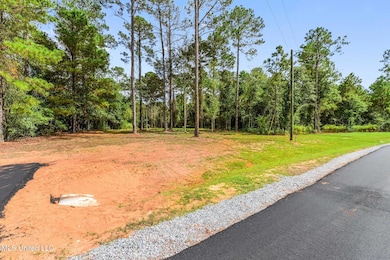 Lot 4 Pine Ridge Ln, Lucedale, MS 39452 - photo 5