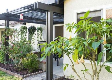 Lovely newly planted back yard and restful patio