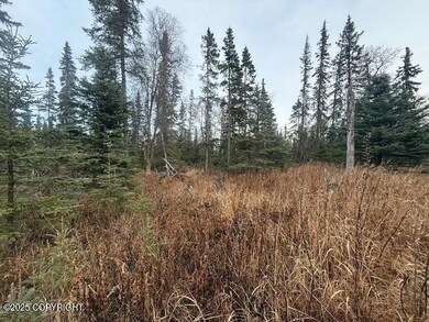 123 Johnny Rd, Kenai, AK 99611 - photo 5