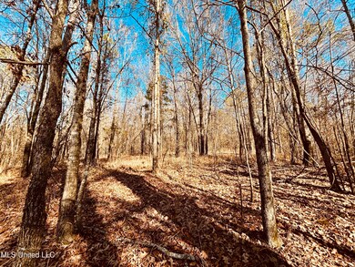 0 Mississippi 12, Durant, MS 39063 - photo 4