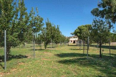 Variety Of Fruit Trees