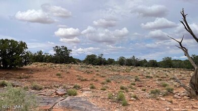 IMG_9868 (1) (1)