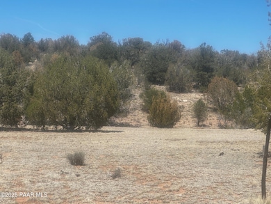 32412 Ancho Rd, Seligman, AZ 86337 - photo 7