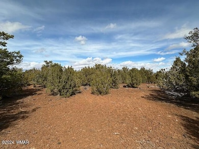 233 Cr 8088 Hohokam Rd unit 8088, Concho, AZ 85924 - photo 2