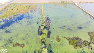 0 Daniel Glover Rd, Lonoke, AR 72086 - photo 5