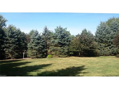 Backyard & Common Area