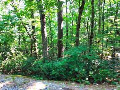 795 Wagon Ridge Ln, Ferguson, NC 28624 - photo 5