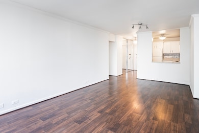 Park Tower Market unit 1608, Chicago, IL 60640 - photo 5