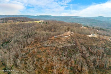 431 Bald Knob Mtn & Cummings Cove Rd, Doyle, TN 38559 - photo 2