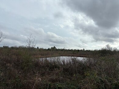 43443 Jackson Brumfield Rd, Franklinton, LA 70438 - photo 5