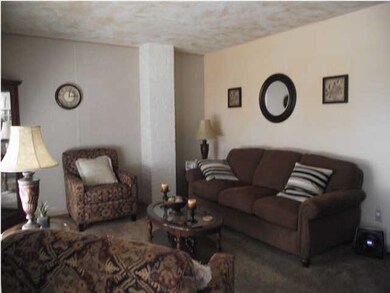 Living room with new carpet