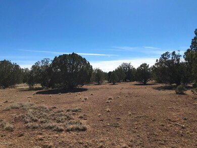 1201 County Line Cir, Ash Fork, AZ 86320 - photo 6