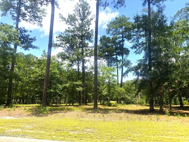 580 Lindgrove Place SW, Ocean Isle Beach, NC 28469 - photo 6