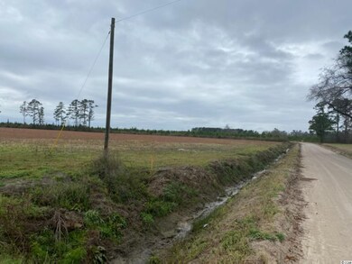 TBD Persimmon Rd unit Lot 7, Aynor, SC 29511 - photo 5