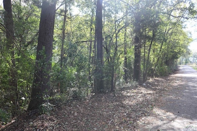 TBD N Cass St, Jefferson, TX 75657 - photo 2