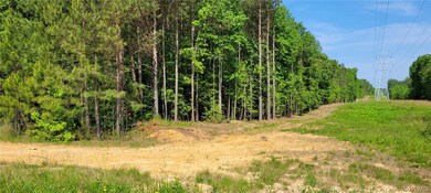 Lot B-1 Hawks Perch, Disputanta, VA 23842 - photo 2