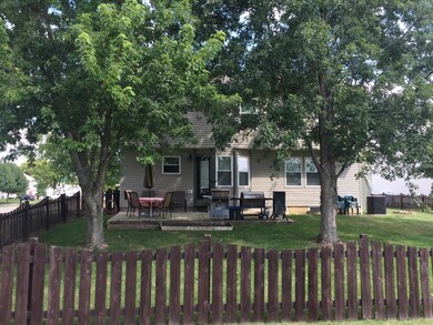 full back yard