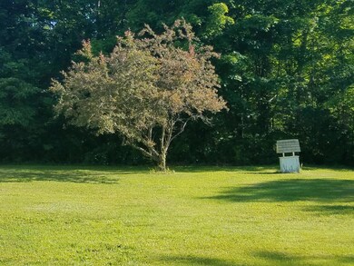02. Front Yard