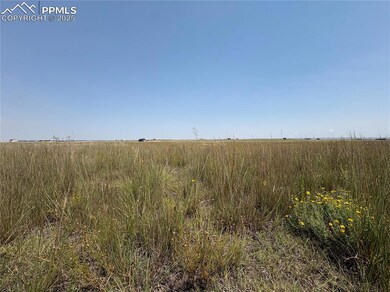 8155 Cowboy Ranch View, Falcon, CO 80831 - photo 4