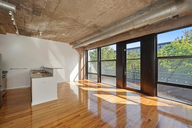 University Commons II unit 251, Chicago, IL 60608 - photo 5