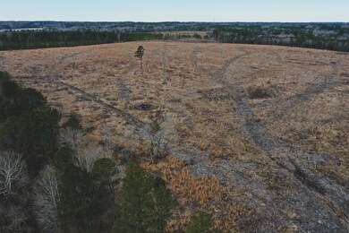 19.4 Ac. Nc 96 Hwy, Oxford, NC 27565 - photo 2