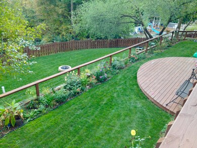 Summer Backyard Picture
