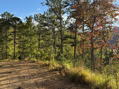 406 Cardinal Bluff Rd, Whittier, NC 28789 - photo 4