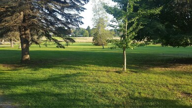 459 Jackson Rd, Dallas, PA 18612 - photo 4