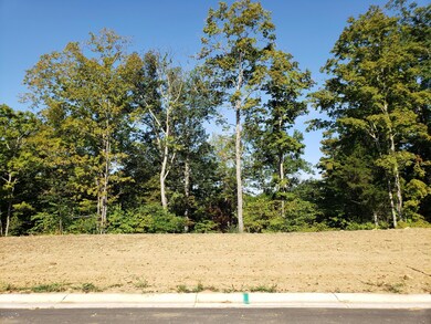 37 Kilner Goodlet Ct, Mount Washington, KY 40047 - photo 3