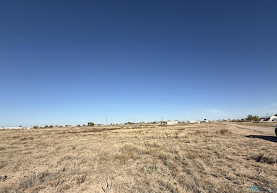 000 Rebel Rd, Dexter, NM 88230 - photo 2