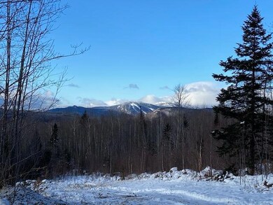Lot 3-2 Thoreau Rd, Hanover, ME 04237 - photo 6