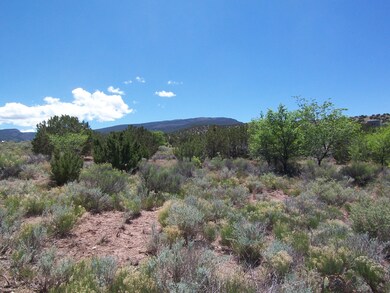 788 Highway 165, Placitas, NM 87043 - photo 7